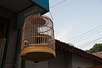 露营模拟器《远足》上线steam 明年第一季度推出